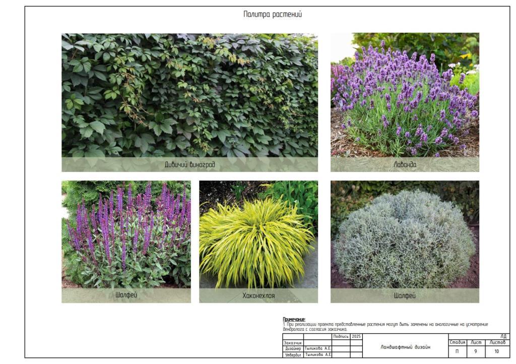 8. Палитра многолетних растений и злаков