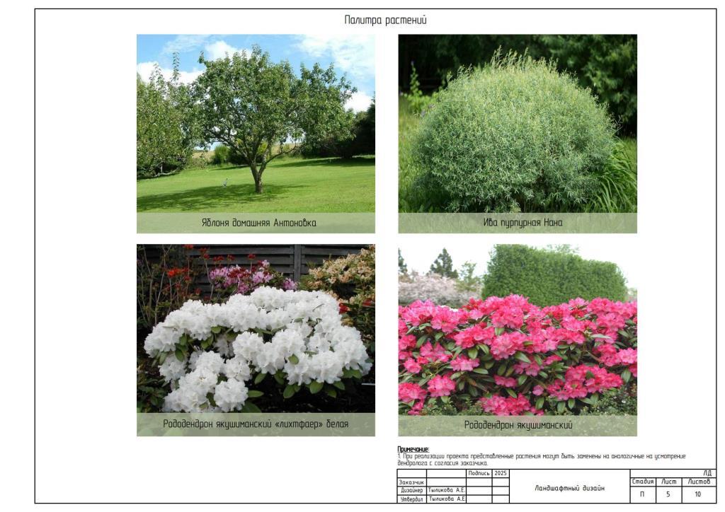 4. Палитра растений