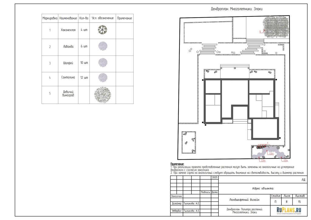 7. Дендроплан. Многолетники. Злаки. Лианы
